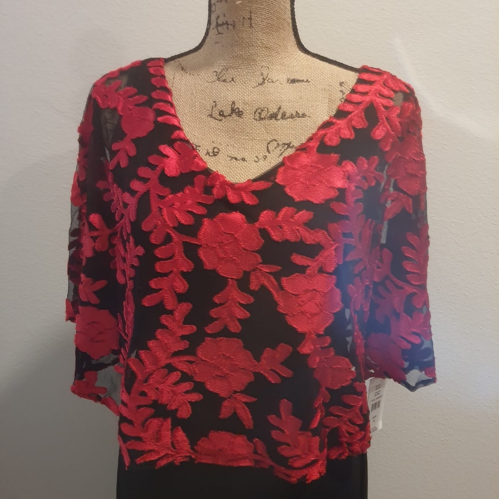 NWT! JM JOHN MEYER RED/BLACK LACE OVERLAY DRESS - Picture 8 of 16